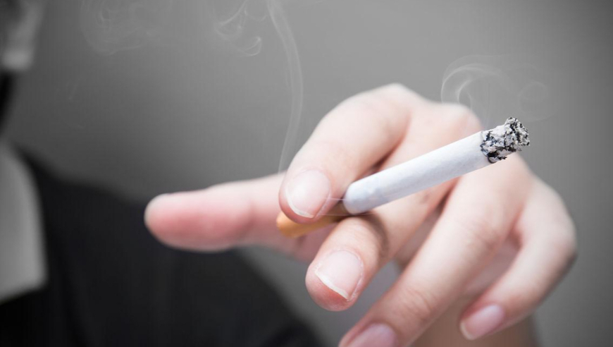 妲己的脸蛋 张飞的嗓子,管家婆二肖二码资料大全,创造力策略实施推广_钻石版V10.72